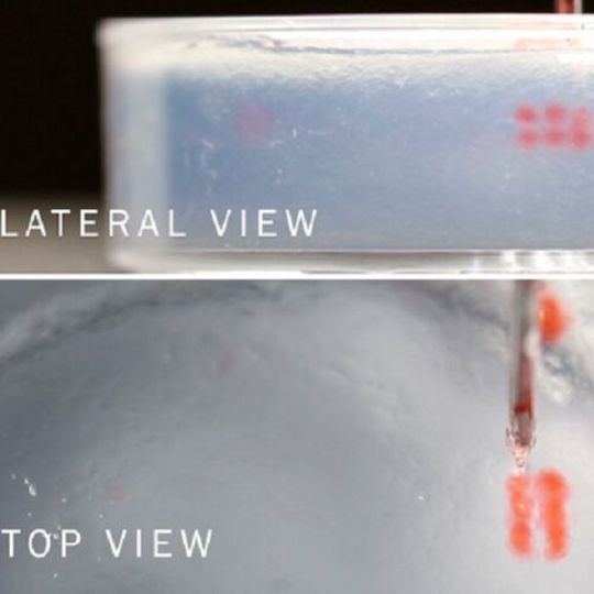 Biomaterials droplets are deposited and assembled in a yield-stress supporting matrix. Unlike existing bioprinting platforms, DASP uses droplets rather than filaments as the building block to create 3D constructs. Biomaterials droplets are deposited and assembled in a yield-stress supporting matrix. Unlike existing bioprinting platforms, DASP uses droplets rather than filaments as the building block to create 3D constructs.