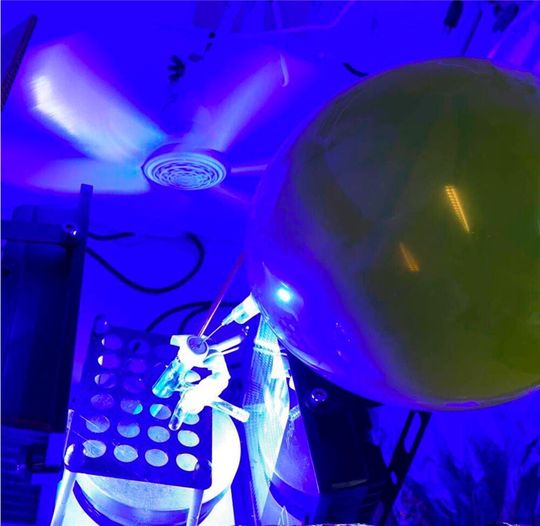 Für den Laborversuch wird eine Reaktion zur C-H-Derivatisierung mit blauem Licht bestrahlt.