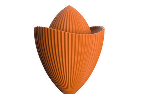 Saftpresse Saftpresse