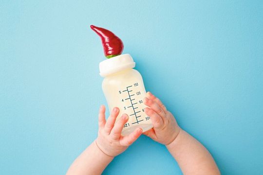 Scharfe Muttermilch? Inwieweit Scharfstoffe aus dem Essen der stillenden Mutter in die Milch übergehen, haben Forscher der TU München untersucht. Scharfe Muttermilch? Inwieweit Scharfstoffe aus dem Essen der stillenden Mutter in die Milch übergehen, haben Forscher der TU München untersucht.
