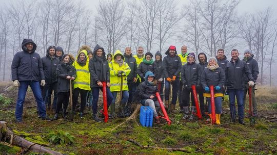 Segro pflanzt im ersten Jahr seiner Partnerschaft mit Plant-my-Tree 1.430 Bäume in Lüdenscheid. Segro pflanzt im ersten Jahr seiner Partnerschaft mit Plant-my-Tree 1.430 Bäume in Lüdenscheid.