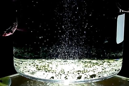 Hydrogen bubbles emerging on the catalyst and carbonate crystals precipitating from the solution. Hydrogen bubbles emerging on the catalyst and carbonate crystals precipitating from the solution.