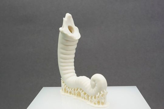 3D-gedruckter Porzellanrüssel mit passgenauer Bruchstelle. Die inneren und äußeren Stützstrukturen verhindern eine Verformung des Rüssels während des Brennprozesses.