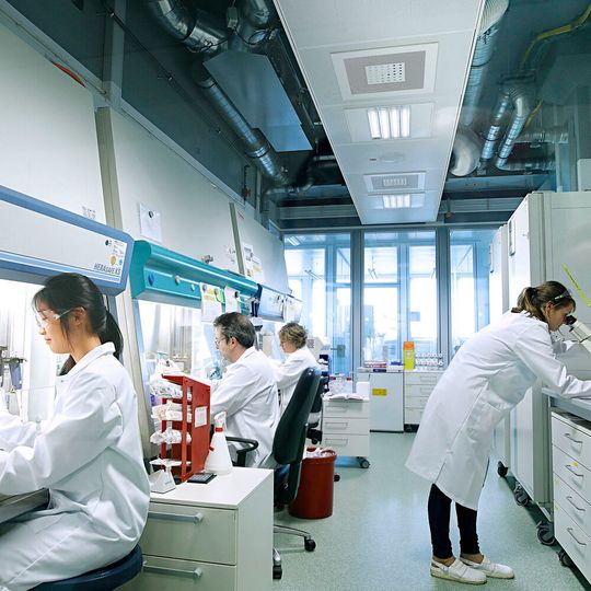 Mit einer Investition von 100 Millionen Euro in seine Pharmasparte will Bayer den Fokus auf umweltfreundliche Marken, Produkte und Verpackungen legen. Mit einer Investition von 100 Millionen Euro in seine Pharmasparte will Bayer den Fokus auf umweltfreundliche Marken, Produkte und Verpackungen legen.