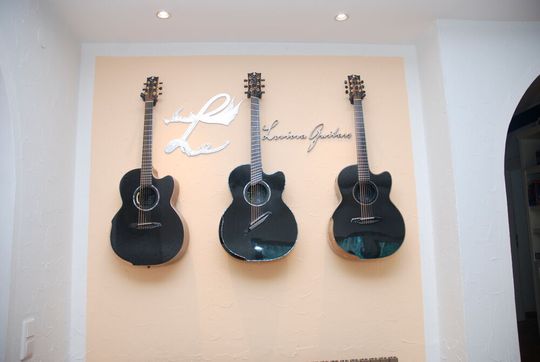 Modelliert und simuliert mit Solidworks: die Gitarren von Thomas Strieker.