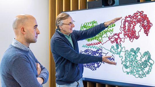 Erstautor Dr. Hristo L. Svilenov (l.) und Prof. Dr. Johannes Buchner, Inhaber des Lehrstuhls für Biotechnologie, mit einem Strukturbild eines ACE2-Dimers. ACE2 dient Coronaviren als Ankerpunkt auf Wirtszellen, um diese zu infizieren. Erstautor Dr. Hristo L. Svilenov (l.) und Prof. Dr. Johannes Buchner, Inhaber des Lehrstuhls für Biotechnologie, mit einem Strukturbild eines ACE2-Dimers. ACE2 dient Coronaviren als Ankerpunkt auf Wirtszellen, um diese zu infizieren.