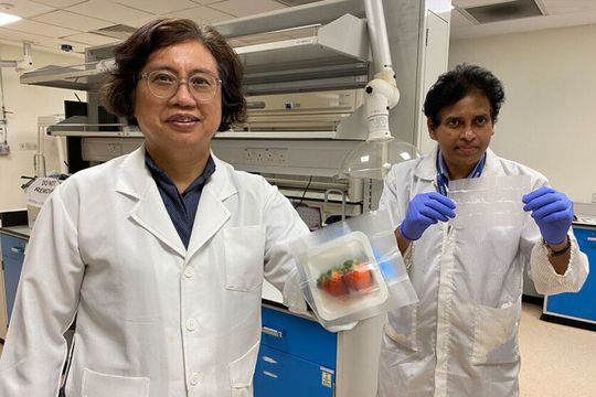 (L-R) Director of NTU’s Centre of Antimicrobial Bioengineering Professor Mary Chan, and Dr Suresh Kumar Raman Pillai, Principal Research Fellow at NTU’s School of Chemical and Biomedical Engineering. (L-R) Director of NTU’s Centre of Antimicrobial Bioengineering Professor Mary Chan, and Dr Suresh Kumar Raman Pillai, Principal Research Fellow at NTU’s School of Chemical and Biomedical Engineering.