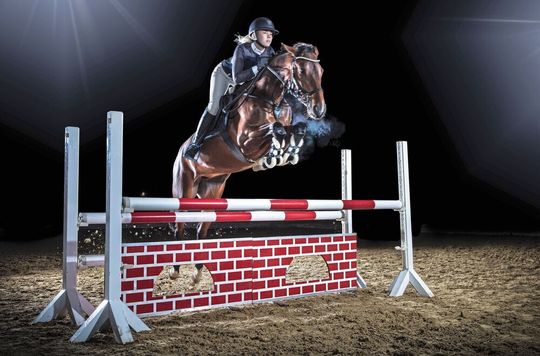Stollen sorgen für einen guten Grip im Reitsport. Stollen sorgen für einen guten Grip im Reitsport.