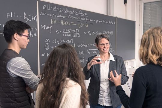 Das MINT-Orientierungssemester bietet eine optimale Entscheidungsgrundlage für die Studienwahl. Das MINT-Orientierungssemester bietet eine optimale Entscheidungsgrundlage für die Studienwahl.