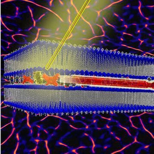 An image showing the light excited by a molecular switch (yellow shape between the blue molecular layers that are the path) and the motion of the red molecule along the path. The background is a coloured image obtained with the optical microscope used to observe the movement. An image showing the light excited by a molecular switch (yellow shape between the blue molecular layers that are the path) and the motion of the red molecule along the path. The background is a coloured image obtained with the optical microscope used to observe the movement.