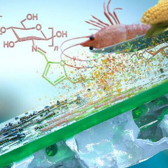 A team of Kaust chemical engineers has designed a sustainable thin-film composite membrane made from a natural nontoxic polymer derived from shrimp shell waste. A team of Kaust chemical engineers has designed a sustainable thin-film composite membrane made from a natural nontoxic polymer derived from shrimp shell waste.
