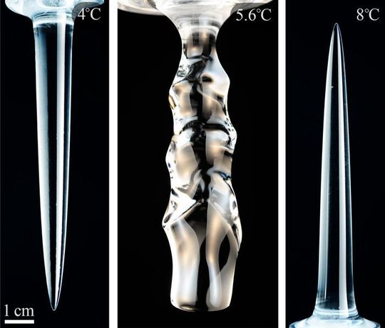 These photographs show the different shapes of melted ice that form for cold (4 °C), intermediate (5.6 °C), and warmer (8 °C) temperatures of the ambient water. These photographs show the different shapes of melted ice that form for cold (4 °C), intermediate (5.6 °C), and warmer (8 °C) temperatures of the ambient water.