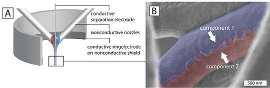 Systematische Darstellung des Prozesses zur Herstellung von janusähnlichen Spinnenseide-Fasern