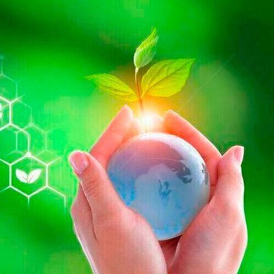 The Group is also developing innovative catalysts and processes to improve productivity in its existing MMA monomer manufacturing technologies, striving to reduce environmental impact by reducing energy consumption and emissions during manufacturing. The Group is also developing innovative catalysts and processes to improve productivity in its existing MMA monomer manufacturing technologies, striving to reduce environmental impact by reducing energy consumption and emissions during manufacturing.