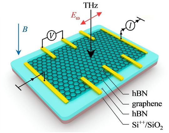 Skizze der untersuchten Probe. Graphen in einem senkrecht angelegten Magnetfeld B wird mit Terahertz-Strahlung beleuchtet. Mehrere Metallkontakte (gelb) werden zum Auslesen des Photosignals verwendet. Skizze der untersuchten Probe. Graphen in einem senkrecht angelegten Magnetfeld B wird mit Terahertz-Strahlung beleuchtet. Mehrere Metallkontakte (gelb) werden zum Auslesen des Photosignals verwendet.