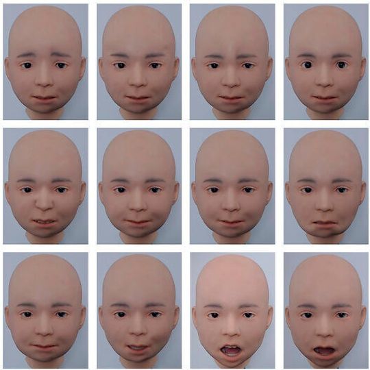 Nikola’s facial action units. The facial action units (AUs) produced by the android Nikola. Nikola’s facial action units. The facial action units (AUs) produced by the android Nikola.