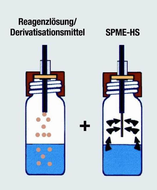 Je nach Art der Derivatisierung unterscheidet man verschiedene SPME-Methoden zur bestimmung polarer Verbindungen (s. Abb. 1). Je nach Art der Derivatisierung unterscheidet man verschiedene SPME-Methoden zur bestimmung polarer Verbindungen (s. Abb. 1).