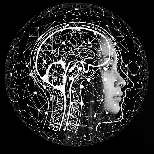 Die TU Berlin forscht an neuronalen Netzen. Die TU Berlin forscht an neuronalen Netzen.