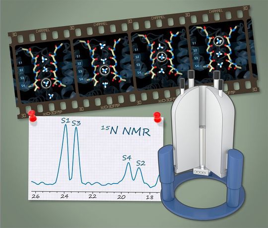 Dynamische Ionen im Selektivitätsfilter eines Ionenkanals (Filmstreifen) untersucht mittels NMR (Spektrometer unten rechts) und Molekulardynamiksimulationen. Dynamische Ionen im Selektivitätsfilter eines Ionenkanals (Filmstreifen) untersucht mittels NMR (Spektrometer unten rechts) und Molekulardynamiksimulationen.