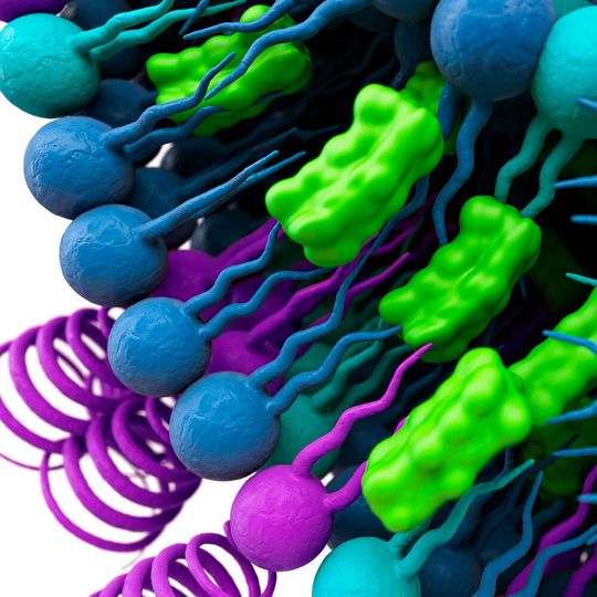 Lipide für mRNA-Impfstoffe und andere parenterale Anwendungen werden stark nachgefragt.
