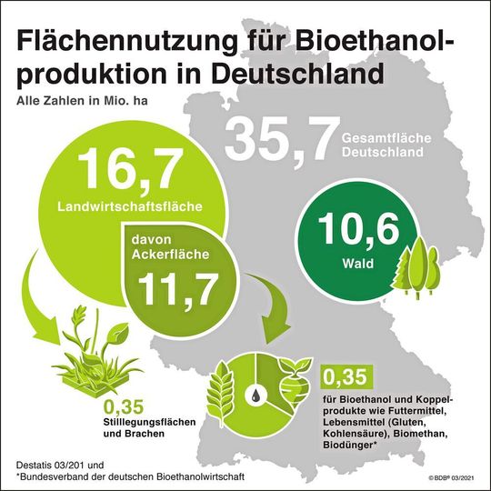Die bei der Biokraftstoff-Produktion verwendeten Rohstoffe, hierzulande überwiegend Raps, Futtergetreide und Zucker, dürfen seit dem Jahr 2008 nachweisbar nur von Flächen stammen, die bereits zu diesem Zeitpunkt landwirtschaftlich genutzt waren.