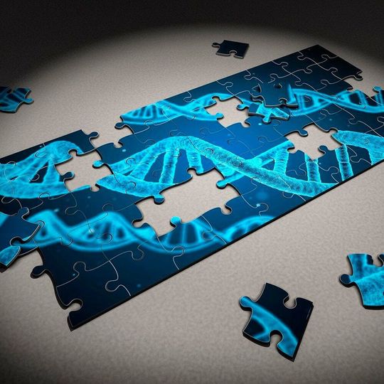 Although scientists have known about these mRNA modification for more than 45 years, its effect on the function of mRNA has not been well understood. Although scientists have known about these mRNA modification for more than 45 years, its effect on the function of mRNA has not been well understood.