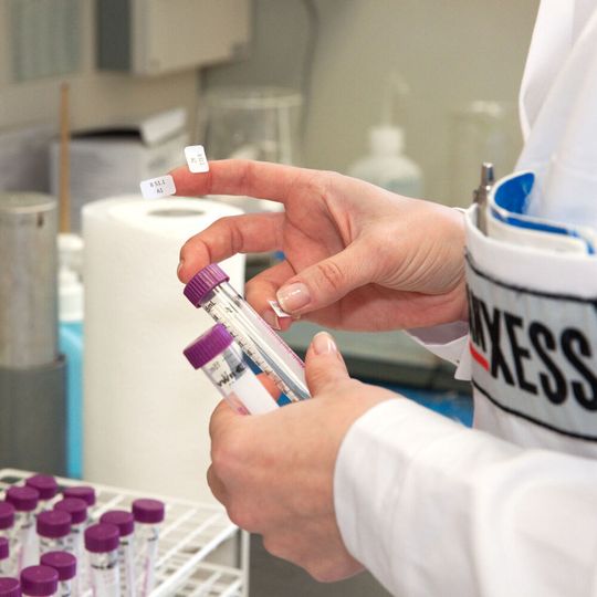 Ab sofort bezieht Lanxess biobasierte Rohstoffe aus pflanzlichen Ölen, um daraus eine neue Serie von nachhaltigen Konservierungsmitteln herzustellen. Ab sofort bezieht Lanxess biobasierte Rohstoffe aus pflanzlichen Ölen, um daraus eine neue Serie von nachhaltigen Konservierungsmitteln herzustellen.