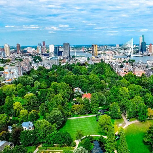 The risk of suffering an ischaemic stroke, the most common type of cerebrovascular event, is 16 percent less in people who have green spaces less than 300 metres from their homes. The risk of suffering an ischaemic stroke, the most common type of cerebrovascular event, is 16 percent less in people who have green spaces less than 300 metres from their homes.