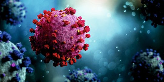 Das Coronavirus SARS-CoV-2 lässt sich über die Immunantwort von T-Zellen nachweisen Das Coronavirus SARS-CoV-2 lässt sich über die Immunantwort von T-Zellen nachweisen