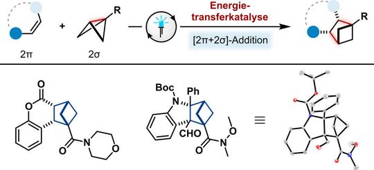 Die neue unkonventionelle Photocycloaddition; oben: schematische Darstellung der Reaktionsgleichung mit einer „schmetterlingsartigen“ Ausgangsverbindung (2σ); unten: Strukturen zweier Reaktionsprodukte (ganz rechts eine 3D-Darstellung/Kristallstrukturanalyse). Die neue unkonventionelle Photocycloaddition; oben: schematische Darstellung der Reaktionsgleichung mit einer „schmetterlingsartigen“ Ausgangsverbindung (2σ); unten: Strukturen zweier Reaktionsprodukte (ganz rechts eine 3D-Darstellung/Kristallstrukturanalyse).
