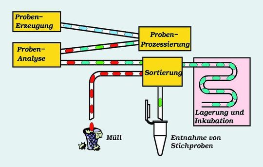 1 Schematische Darstellung eines Lab-on-a-Chip-Bauelementes für die tropfenbasierte Mikrofluidik. Funktionselemente für die Basisoperationen Tropfenerzeugung, Prozessieren, Analyse und Sortierung werden entsprechend Protokoll-vorgabe in ein fluidisches Netzwerk integriert. 1 Schematische Darstellung eines Lab-on-a-Chip-Bauelementes für die tropfenbasierte Mikrofluidik. Funktionselemente für die Basisoperationen Tropfenerzeugung, Prozessieren, Analyse und Sortierung werden entsprechend Protokoll-vorgabe in ein fluidisches Netzwerk integriert.