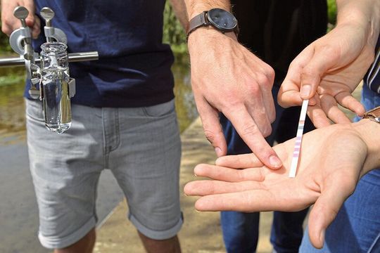 Freiwillige bestimmten die Nitratkonzentration mithilfe von Teststäbchen. Freiwillige bestimmten die Nitratkonzentration mithilfe von Teststäbchen.