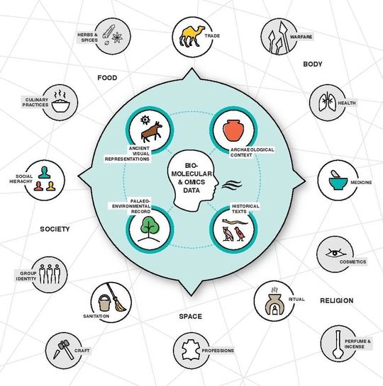 Geruchsdaten können im Rahmen relevanter historischer Texte und visueller Darstellungen sowie archäologischer und umweltbezogener Aufzeichnungen kontextualisiert werden. Die Verknüpfung dieser verschiedenen Informationsquellen ermöglicht die Rekonstruktion wichtiger Bestandteile von historischen Lebensweisen und Gesellschaften (gekennzeichnet durch Pfeile, die aus dem blauen Kreis hervorgehen). Die Symbole im äußeren Bereich der Abbildung stellen Beispiele für einige der Themen dar, die mit diesem Ansatz adressiert werden können (die grauen Kästchen geben allgemeine Überschriften an).