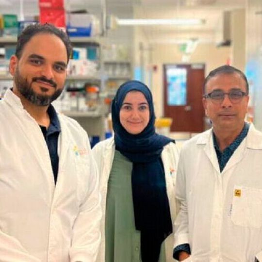 From left: Sharif M. Hala, Sara Mfarrej, and Professor Arnab Pain studied the N protein of SARS-CoV-2 to further understanding of its role in disease severity. From left: Sharif M. Hala, Sara Mfarrej, and Professor Arnab Pain studied the N protein of SARS-CoV-2 to further understanding of its role in disease severity.
