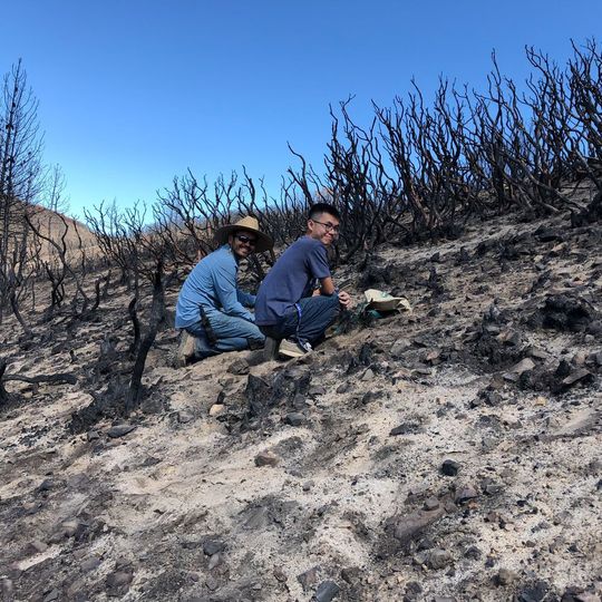 Pete Homyak, co-principal investigator on the new research project, and former student Kobe Luu sampling soil at the Holy Fire burn site. Pete Homyak, co-principal investigator on the new research project, and former student Kobe Luu sampling soil at the Holy Fire burn site.