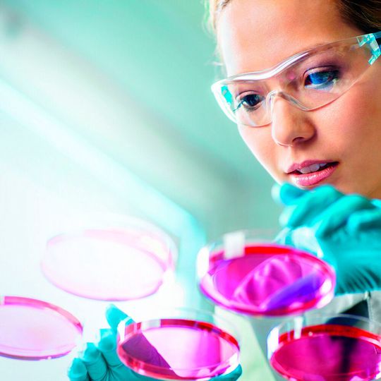 Bayer will in den kommenden drei Jahren rund zwei Milliarden Euro in sein Pharma-Netzwerk investieren. Bayer will in den kommenden drei Jahren rund zwei Milliarden Euro in sein Pharma-Netzwerk investieren.