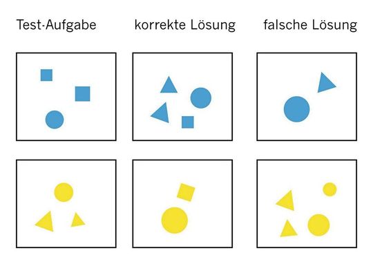 Beispiel für zwei Testaufgaben: - Die Tiere schwammen nach dem erfolgreichen Training meist zu der korrekten Lösung.