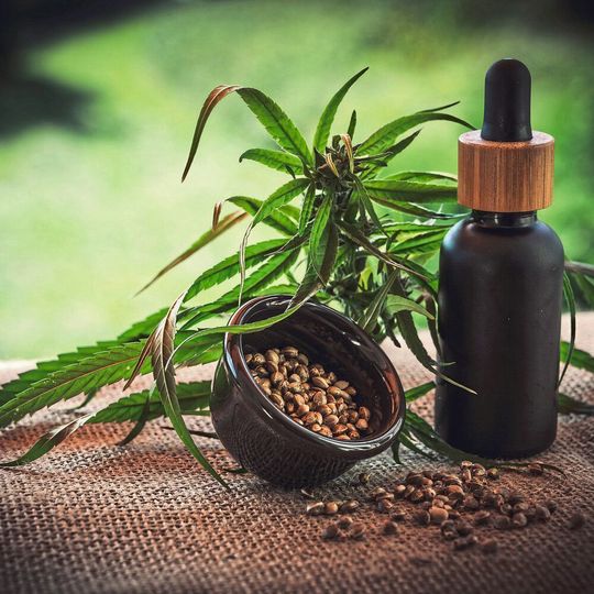 Der deutsche CBD-Produzent Cannacare erhält durch die Fusion mit dem kanadischen Unternehmen Greenrise Zugang zum internationalen CBD-Markt (Symbolbild). Der deutsche CBD-Produzent Cannacare erhält durch die Fusion mit dem kanadischen Unternehmen Greenrise Zugang zum internationalen CBD-Markt (Symbolbild).