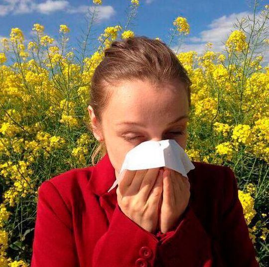 The study aimed to understand the major causes of widespread pollen allergy and identify the implementation gaps to suggest key adaptive measures to minimize the onset and exacerbation of pollen-related allergic diseases. The study aimed to understand the major causes of widespread pollen allergy and identify the implementation gaps to suggest key adaptive measures to minimize the onset and exacerbation of pollen-related allergic diseases.