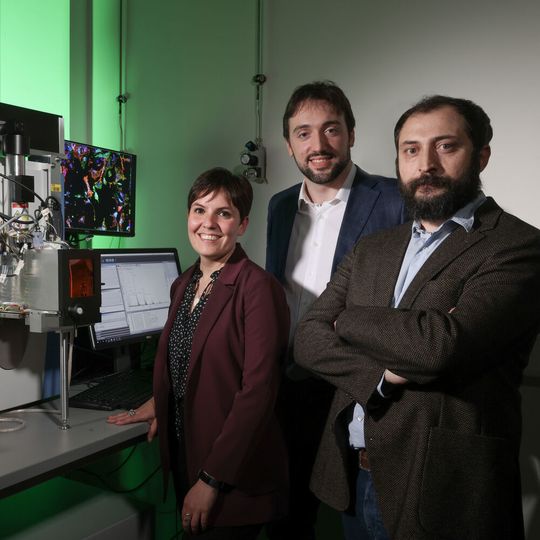 Laura Capolupo, Gioele La Manno, and Giovanni D'Angelo have determined for the first time that one of the internal factors to determining a cell’s fate is its production of lipids — fat molecules. Laura Capolupo, Gioele La Manno, and Giovanni D'Angelo have determined for the first time that one of the internal factors to determining a cell’s fate is its production of lipids — fat molecules.