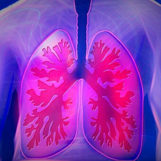 The findings point to the possibility of future COPD treatments that work by restoring the normal RASC-to-AT2 differentiation process—or even by replenishing the normal RASC population in damaged lungs. The findings point to the possibility of future COPD treatments that work by restoring the normal RASC-to-AT2 differentiation process—or even by replenishing the normal RASC population in damaged lungs.