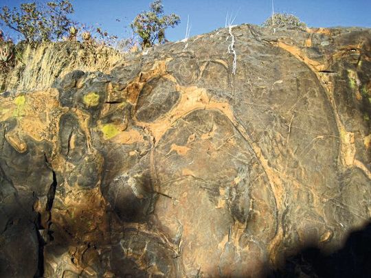 3,48 Milliarden Jahre alte Pillow Basalte. Pillows, also kissenförmige Strukturen, formen sich beim submarinem Vulkanismus, wenn heißes Magma unter Wasser eruptiert. Diese Strukturen können noch heute beobachtet werden, z. B. an Mittelozeanischen Rücken oder auf Vulkaninseln wie auf Hawaii, La Reunion oder Galapagos. 3,48 Milliarden Jahre alte Pillow Basalte. Pillows, also kissenförmige Strukturen, formen sich beim submarinem Vulkanismus, wenn heißes Magma unter Wasser eruptiert. Diese Strukturen können noch heute beobachtet werden, z. B. an Mittelozeanischen Rücken oder auf Vulkaninseln wie auf Hawaii, La Reunion oder Galapagos.