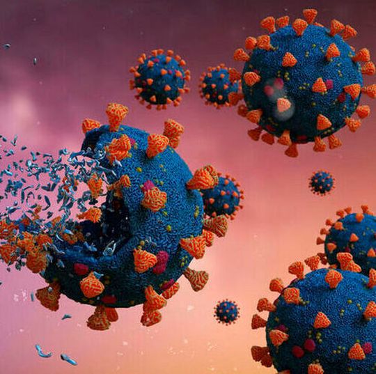 The researchers showed that the CAP, a plasma-based disinfection method is a better alternative to environmentally hazardous chemical-based decontamination methods. The researchers showed that the CAP, a plasma-based disinfection method is a better alternative to environmentally hazardous chemical-based decontamination methods.