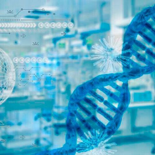 The Surrey team used an approach called open quantum systems to determine the physical mechanisms that might cause the protons to jump across between the DNA strands. The Surrey team used an approach called open quantum systems to determine the physical mechanisms that might cause the protons to jump across between the DNA strands.