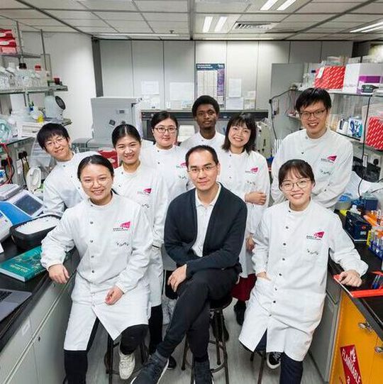 Dr. Kwok Chun-kit, from City University of Hong Kong (middle in the front row), and his research team. Dr Umar Mubarak Ishaq (third from right in the back row) and Chan Chun-Yin (first from right in the back row) are the first authors of the paper. Dr. Kwok Chun-kit, from City University of Hong Kong (middle in the front row), and his research team. Dr Umar Mubarak Ishaq (third from right in the back row) and Chan Chun-Yin (first from right in the back row) are the first authors of the paper.