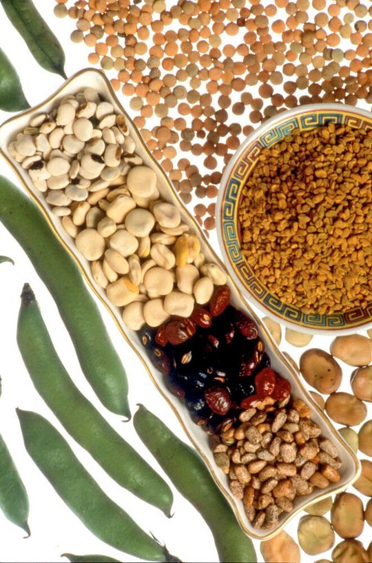 Healthy adults eating a diverse diet with at least eight to ten grams of soluble fiber a day have fewer antibiotic-resistant microbes in their guts. Soluble fiber is found in foods such as grains, beans, lentils, nuts, and some fruits and vegetables. Healthy adults eating a diverse diet with at least eight to ten grams of soluble fiber a day have fewer antibiotic-resistant microbes in their guts. Soluble fiber is found in foods such as grains, beans, lentils, nuts, and some fruits and vegetables.