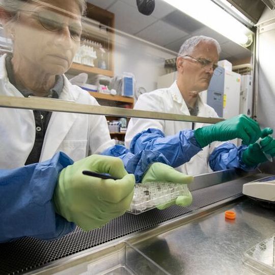 Anna-Lisa Paul, left, and Rob Ferl, working with lunar soils in their lab. Anna-Lisa Paul, left, and Rob Ferl, working with lunar soils in their lab.