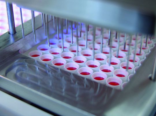 Die Kavitäten der Mikrotiterplatten müssen mit hoher Präzision befüllt werden. Die Kavitäten der Mikrotiterplatten müssen mit hoher Präzision befüllt werden.
