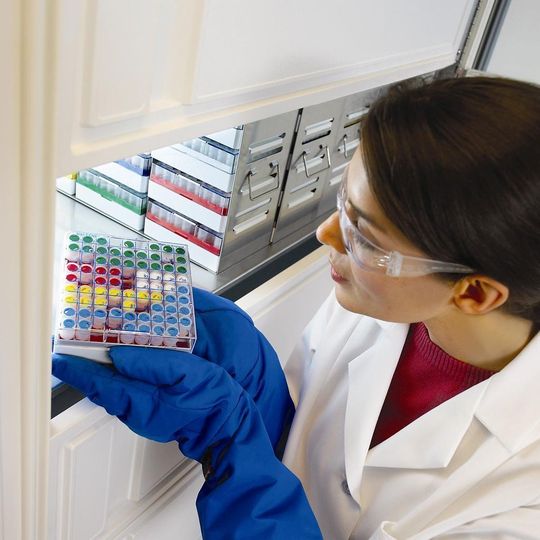 1 Zur Lagerung von empfindlichen oder wertvollen Laborproben gehören Tiefkühlschränke zur Standardausrüstung im Labor. (Bilder: Thermo Fisher Scientific) 1 Zur Lagerung von empfindlichen oder wertvollen Laborproben gehören Tiefkühlschränke zur Standardausrüstung im Labor. (Bilder: Thermo Fisher Scientific)