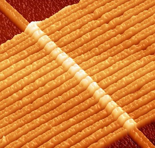 Der erste Memristor-Schaltkreis aus dem Jahr 2008 im Rasterkraftmikroskop. Zu erkennen sind 17 Memristoren, die aus jeweils zwei miteinander verbundenen Titandioxid-Schichten bestehen. Der erste Memristor-Schaltkreis aus dem Jahr 2008 im Rasterkraftmikroskop. Zu erkennen sind 17 Memristoren, die aus jeweils zwei miteinander verbundenen Titandioxid-Schichten bestehen.